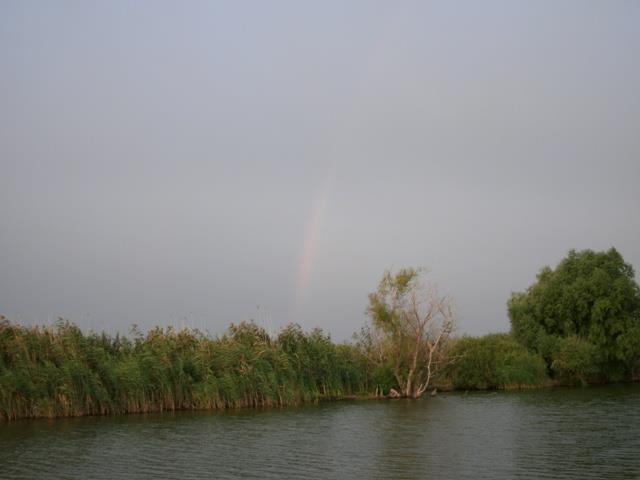 Prin Delta Dunarii - GEDC0170.JPG